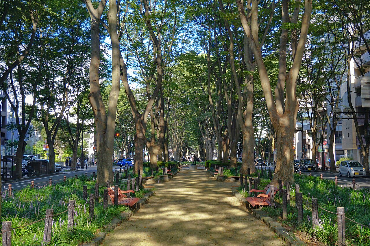 仙台・定禅寺通り